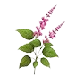 testimonial_bg_img1